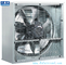DHF Direct drive spray white exhaust fan/ blower fan/ ventilation fan supplier